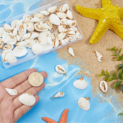 80Pcs 8 Styles Natural Mixed Shell Pendants&nbsp;PALLOY-BM00008