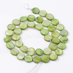 Natural Shell Beads Strands&nbsp;SHS141M