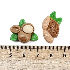 オペーク樹脂カボション  イミテーションナット  混合図形  ミックスカラー  14~18x19.5~25x7.5~8mm&nbsp;CRES-D303-02