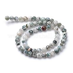 Natural Tree Agate Bead Strands&nbsp;G-R411-25-4mm