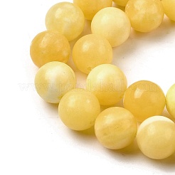 Natural Yellow Jade Beadd Strands&nbsp;G-A274-A01-12mm