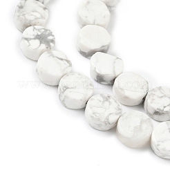 Natural Howlite Beads Strands&nbsp;G-M454-B02