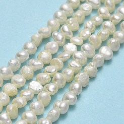 天然養殖淡水パールビーズ連売り  研磨両側  リネン  4~5x4x2.5~3mm  穴：0.6mm  約97~100個/連  14.65~14.72''（37.2~37.4センチメートル）&nbsp;PEAR-A005-05B-01
