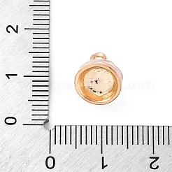 合金エナメルチャーム  ゴールドカラー  ケーキ  8.5x9.5x8.5mm  穴：1.5mm&nbsp;ENAM-E362-05C