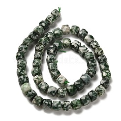 Natural Green Spot Jasper Beads Strands&nbsp;G-H078-C27-01