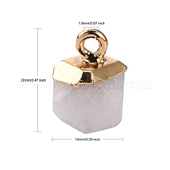 Natural White Jade Charms&nbsp;G-S359-015I