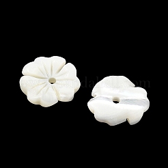 天然のトロカス貝の彫刻ビーズ  花  フローラルホワイト  12x2.8~3mm  穴：1.4mm&nbsp;SH-CBACA76-01