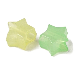 蓄光アクリルビーズ  スター  暗闇で光るビーズ  ミックスカラー  8.5x9x5.5mm  穴：3.8mm  3067個/ 500g&nbsp;OACR-H119-04