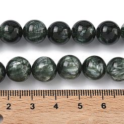 Natural Seraphinite Beads Strands&nbsp;G-C270-O01-11