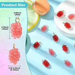 12Pcs 2 Colors Resin Pendants&nbsp;RESI-CJ0004-71