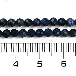 天然ピーテルサイトビーズ連売り  多面カット  ラウンド  3mm  穴：0.6mm  約111個/連  15.35''（39センチメートル）&nbsp;G-P553-G02-02