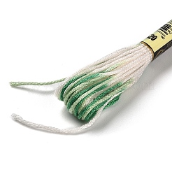 10かせ 6層ポリエステル刺繍フロス  クロスステッチの糸  セグメント染め  カラフル  0.5mm  約8.75ヤード（8m）/かせ&nbsp;OCOR-K006-A65
