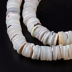 Natural Trochid Shell/Trochus Shell Beads Strands&nbsp;SHEL-P015-11
