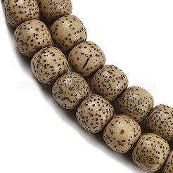 Natural Rudraksha Bodhi Seed Beads Strand&nbsp;WOOD-B010-A03-8x9mm