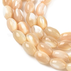 天然貝殻の楕円形のビーズ連  モカシン  9x6mm  穴：1mm  約47個/連  15.9インチ&nbsp;SSHEL-M016-01B