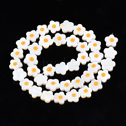 天然淡水シェルビーズ連売り  片面エナメル  花  オレンジ  10.5~11x10.5~11x4mm  穴：0.7mm  約39~41個/連  15.16インチ〜15.75インチ（38.5~40cm）&nbsp;SHEL-N003-31C-01