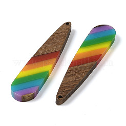 Pride Rainbow Theme Resin & Walnut Wood Pendants&nbsp;WOOD-K012-05B
