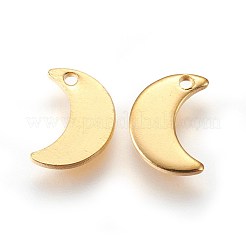 304 Stainless Steel Charms&nbsp;X-STAS-E447-08G