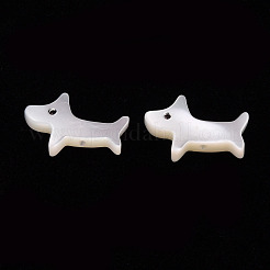 天然トロチッドシェル/トロカスシェルビーズ  犬  貝殻色  9.5x15x2.5mm  穴：0.8mm&nbsp;SSHEL-T014-30