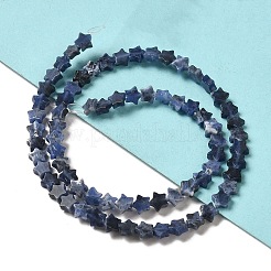 天然石ソーダライトビーズ連売り  スター  6x5.5x2mm  穴：0.8mm  約75個/連  14.57インチ（37cm）&nbsp;G-G085-B18-02