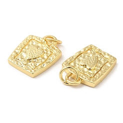 Brass Charms&nbsp;KK-K332-26G