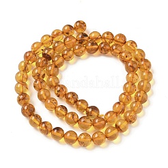 Natural Amber Beads Strands&nbsp;G-L095-B01-6mm-02