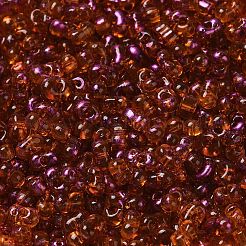 Spray Painted Glass Seed Beads&nbsp;SEED-F005-05A-01