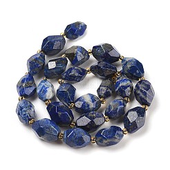 Natural Lapis Lazuli Beads Strands&nbsp;G-P541-A01-05
