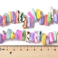 染色された天然トロクスシェルビーズ連売り  ナゲット  ミックスカラー  9~21x5~7x6~8mm  穴：1.2mm  約54~67個/連  14.76~15.24インチ（37.5~38.7cm）&nbsp;SSHEL-C013-09G