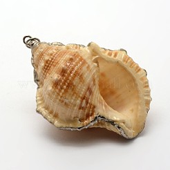 Mixed Shapes Natural Spiral Shell Pendants&nbsp;SSHEL-E556-01