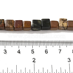 Natural Picasso Jasper Beads Strands&nbsp;G-Q161-C01-02