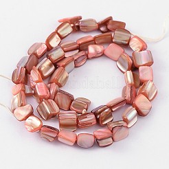 Natural Shell Beads Strands&nbsp;PBB049Y