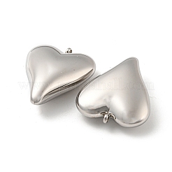 Non-Tarnish 304 Stainless Steel Pendants&nbsp;STAS-L022-200P
