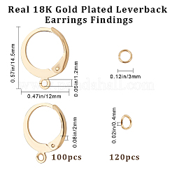 100Pcs 304 Stainless Steel Leverback Earring Findings&nbsp;STAS-BBC0002-68