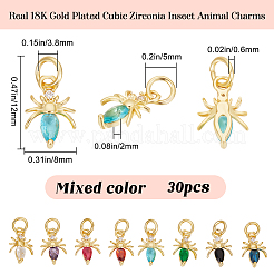 30Pcs Brass Micro Pave Cubic Zirconia Charms&nbsp;KK-BBC0015-20