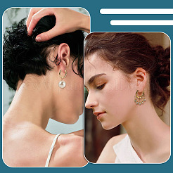 14Pcs 7 Styles 201/316 Stainless Steel Huggie Hoop Earring Findings&nbsp;STAS-TA0005-50