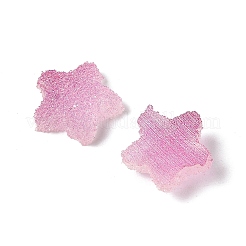 Imitation Candy Food Style Resin Cabochons&nbsp;RESI-R461-02G