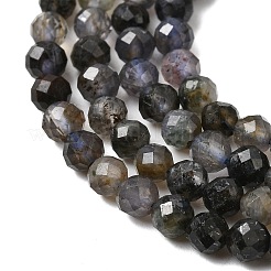 Natural Iolite Beads Strands&nbsp;G-G343-B01-3mm