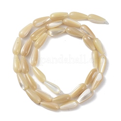 Natural Trochus Shell Beads&nbsp;PEAR-B002-01A-B