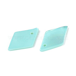Spray Painted Natural Freshwater Shell Pendants&nbsp;BSHE-T014-07C