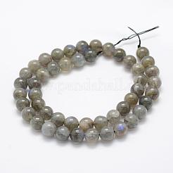 天然石ラブラドライトビーズ連売り  グレードA +  ラウンド  8mm  穴：1mm  約49個/連  15.3インチ（39cm）&nbsp;G-P322-31-8mm