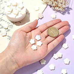 30Pcs Natural Freshwater Shell Beads Strands&nbsp;SHEL-CJ0001-30