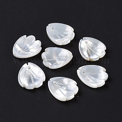 Natural White Shell Charms&nbsp;SSHEL-C011-07B