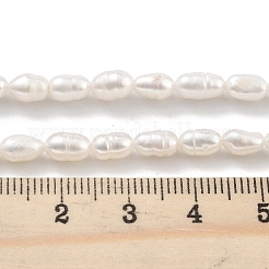 Natural Cultured Freshwater Pearl Beads Strands&nbsp;PEAR-P062-04C