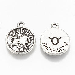 Tibetan Style Alloy Charms&nbsp;LS-TIBE-Q084-04AS-LF