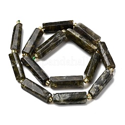 Natural Fuchsite Beads Strands&nbsp;G-D353-A18