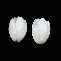 天然トロチッドシェル/トロカスシェルビーズ  花  ホワイト  10x7.5mm  穴：1mm&nbsp;SSHEL-T014-33