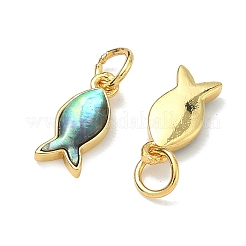 Natural Paua Shell Fish Charms&nbsp;LS-KK-F926-04A
