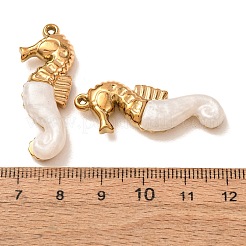 304 Stainless Steel & Resin Pendants&nbsp;RE-CBA1E3F-03B-G