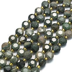 Natural Green Wood Lace Stone Wooden Jasper Beads Strands&nbsp;G-C116-A02-02